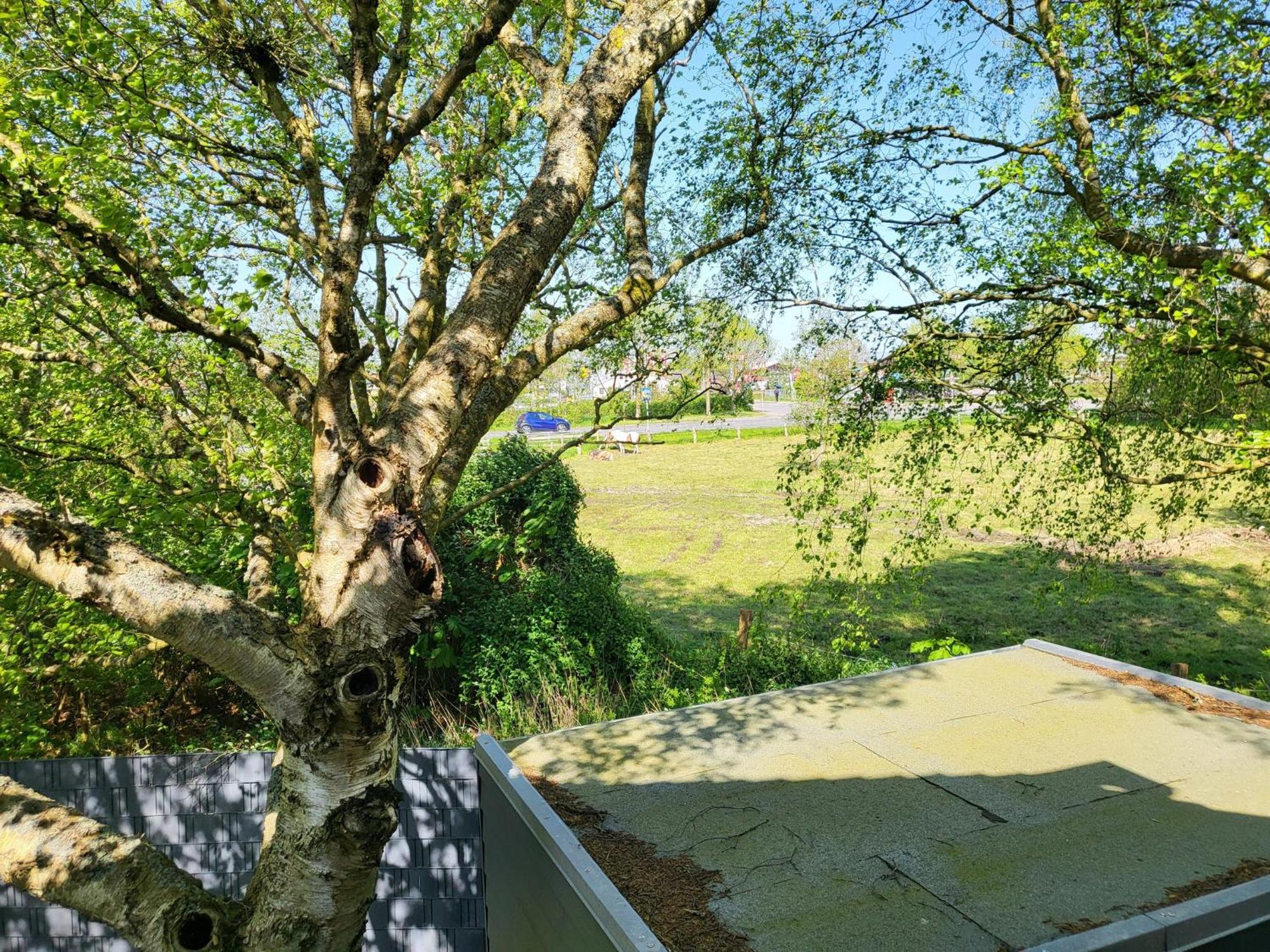 Ferienhaus Dhh "Unsere Zweite Heimat" Links Sankt Peter-Ording Εξωτερικό φωτογραφία